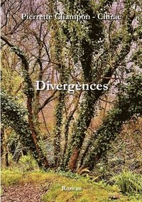 bokomslag Divergences