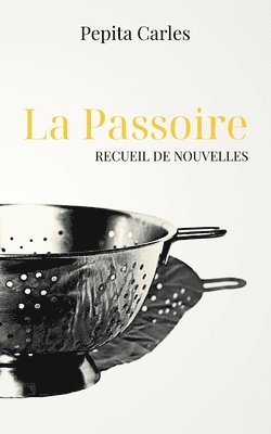 bokomslag Passoire