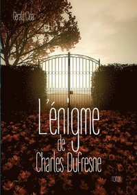 bokomslag L'énigme de Charles Dufresne