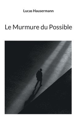 bokomslag Le Murmure du Possible