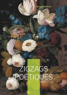 bokomslag Zigzags poétiques