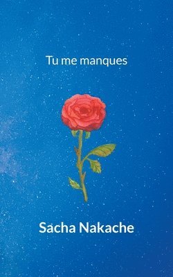bokomslag Tu me manques