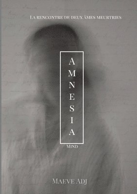 bokomslag Amnesia