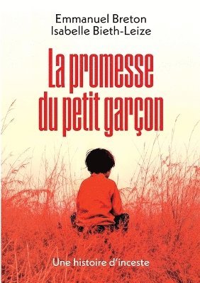 bokomslag promesse du petit garçon