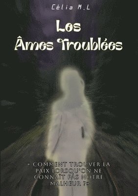 bokomslag Les Âmes Troublées