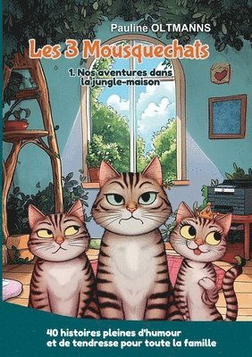 bokomslag Les 3 Mousquechats