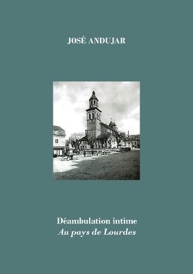 bokomslag Déambulation intime au pays de Lourdes