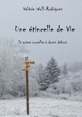 Valérie Wolf-Rodriguez - étincelle de vie, Häftad