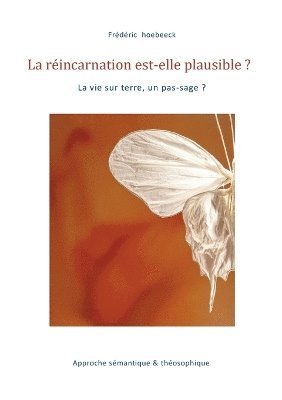 bokomslag réincarnation est-elle plausible ?