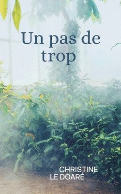 bokomslag pas de trop