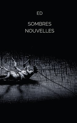 bokomslag Sombres nouvelles