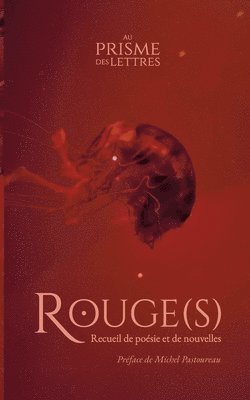 bokomslag Rouge(s)