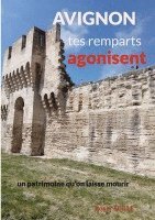 bokomslag Avignon, tes remparts agonisent