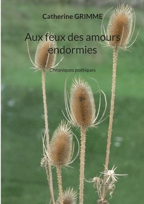 Aux feux des amours endormies