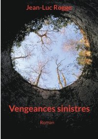 bokomslag Vengeances sinistres