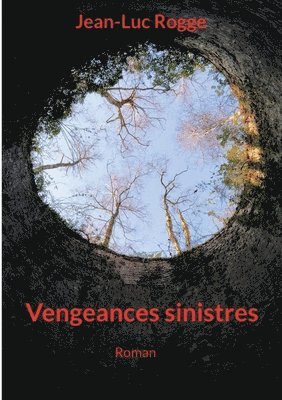 bokomslag Vengeances sinistres