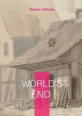 bokomslag World's End: Victorian Novel
