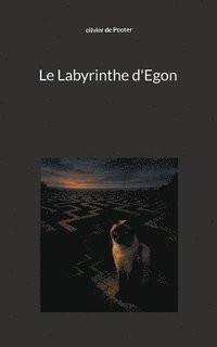 bokomslag Labyrinthe d'Egon