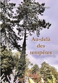 bokomslag Au-delà des tempêtes