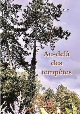 bokomslag Au-delà des tempêtes