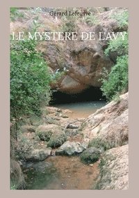 bokomslag mystere de l'Avy
