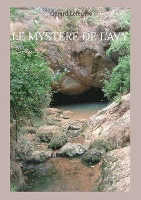 bokomslag mystere de l'Avy