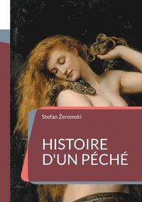 bokomslag Histoire d'un péché