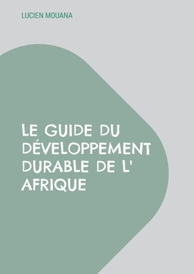 bokomslag Guide du Développement Durable de l' Afrique