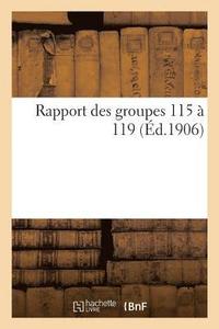bokomslag Rapport Des Groupes 115  119