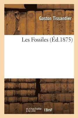 Les Fossiles 1