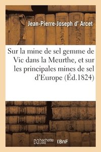 bokomslag Precis Sur La Mine de Sel Gemme de Vic Dans La Meurthe, Et Sur Les Principales Mines de Sel d'Europe