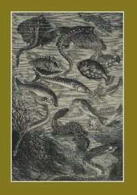bokomslag Carnet Lign Vingt Mille Lieues Sous Les Mers, Jules Verne, 1871