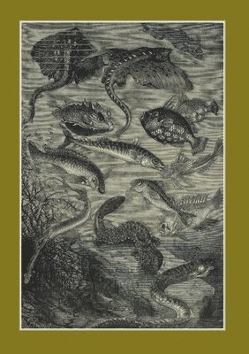 Carnet Lign Vingt Mille Lieues Sous Les Mers, Jules Verne, 1871 1