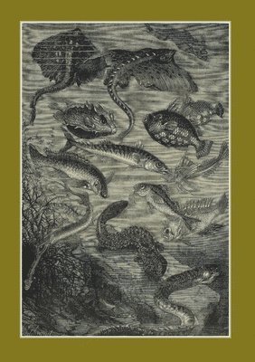 bokomslag Carnet Blanc: Vingt Mille Lieues Sous Les Mers, Jules Verne, 1871