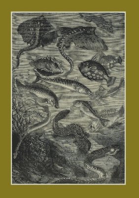 Carnet Blanc: Vingt Mille Lieues Sous Les Mers, Jules Verne, 1871 1
