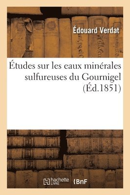 bokomslag Etudes Sur Les Eaux Minerales Sulfureuses Du Gournigel