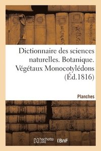 bokomslag Dictionnaire Des Sciences Naturelles. Planches. Botanique. Vgtaux Monocotyldons