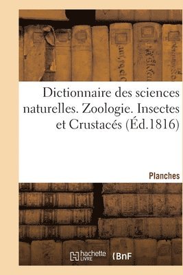 bokomslag Dictionnaire Des Sciences Naturelles. Planches. Zoologie. Insectes Et Crustacs