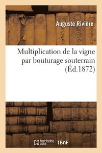 bokomslag Multiplication de la Vigne Par Bouturage Souterrain