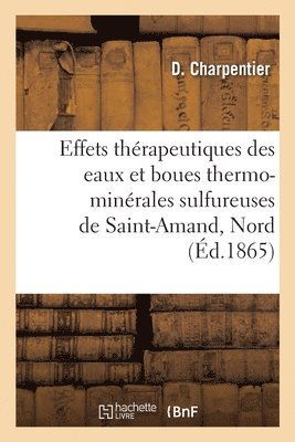 bokomslag Des Effets Thrapeutiques Des Eaux Et Des Boues Thermo-Minrales Sulfureuses de Saint-Amand, Nord