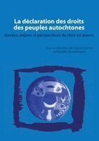 Patrick Kulesza - déclaration des droits des peuples autochtones, Häftad