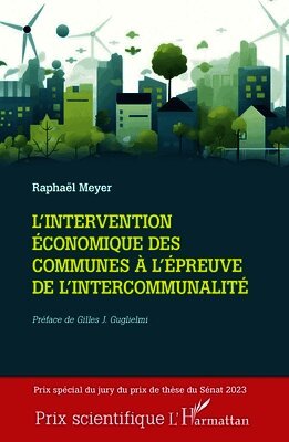 Raphaël Meyer - L'intervention économique des communes à l'épreuve de l'intercommunalité, Häftad