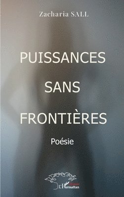 Puissances sans frontières