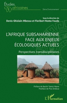 L'Afrique subsaharienne face aux enjeux écologiques actuels