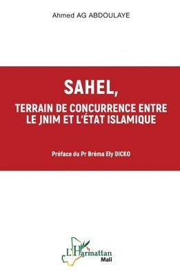 Sahel, terrain de concurrence entre le JNIM et l'Etat Islamique
