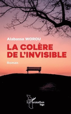Alabassa Worou - colère de l'invisible, Häftad