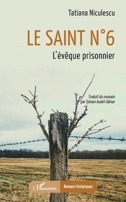 saint n° 6