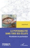 Joseph Rouzel - psychanalyse dans tous ses éclats, Häftad