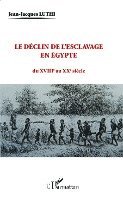 Jean-Jacques Luthi - déclin de l'esclavage en Egypte, Häftad