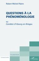 Robert Michel Palem - Questions à la phénoménologie, Häftad